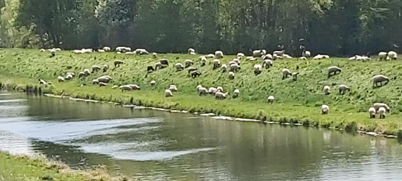 De Luet Ferienhof Jameln Kültér fotó