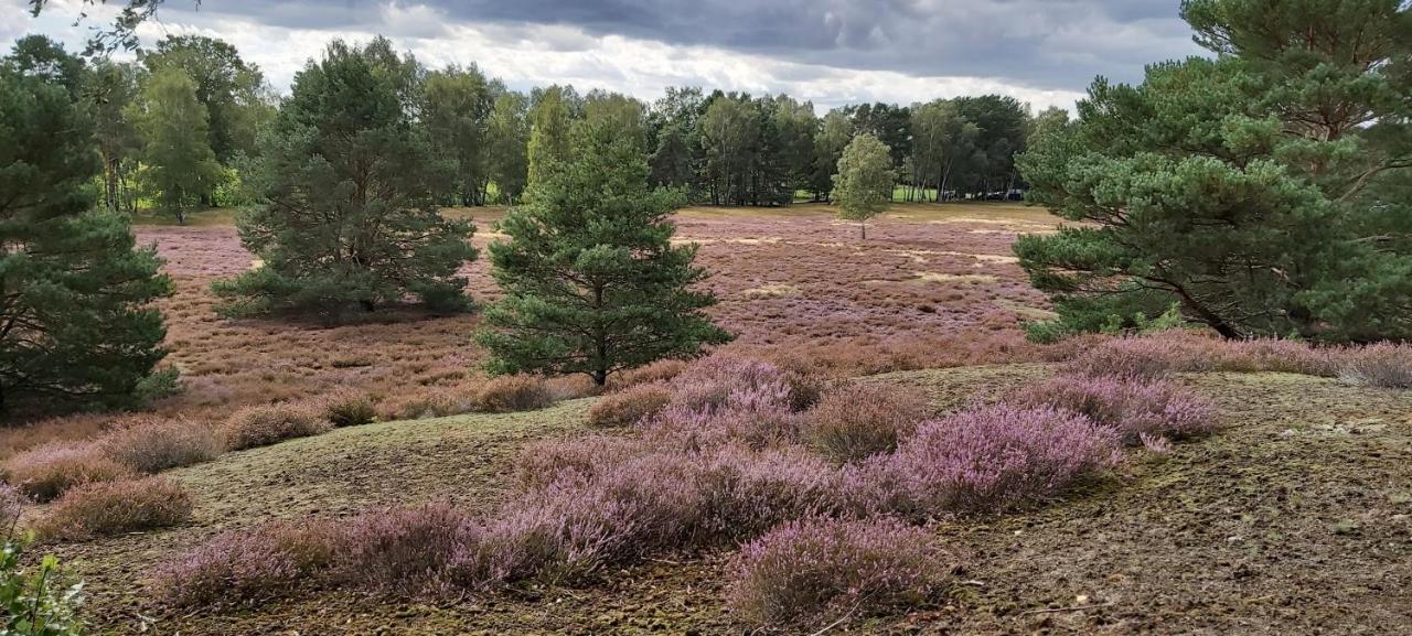 De Luet Ferienhof Jameln Kültér fotó